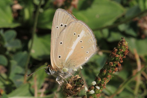 Photo: ainsae