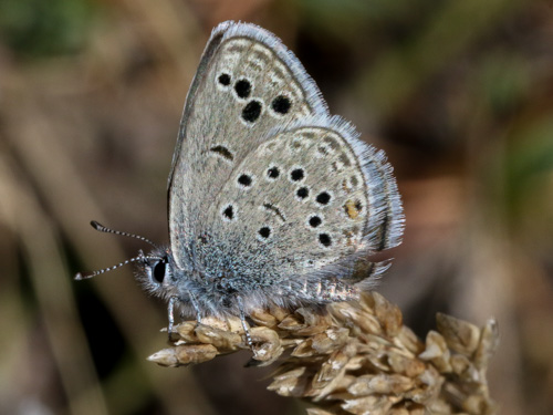 Photo: endymion