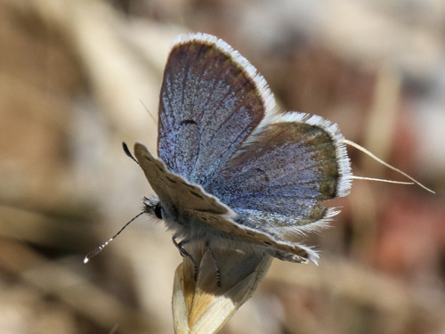 Photo: endymion
