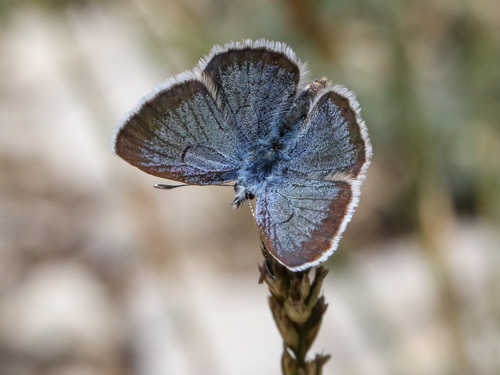 Photo: endymion