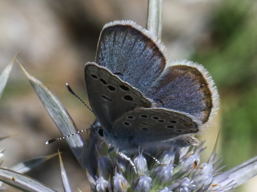 Photo: endymion