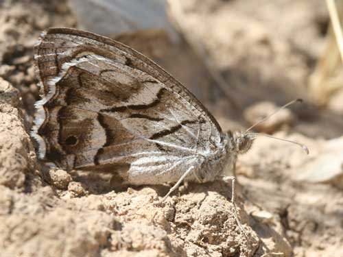 Photo: fidia20.jpg