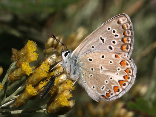 Photo: icarus89.jpg