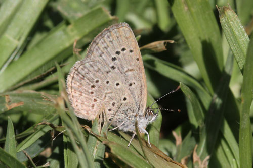 Photo: knysna