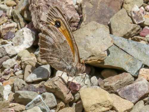 Photo: maroccana