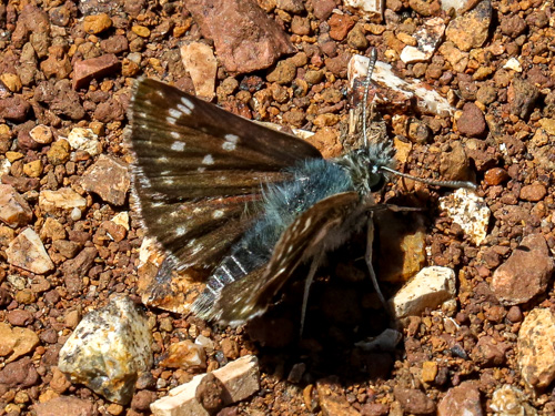 Photo: orbifer
