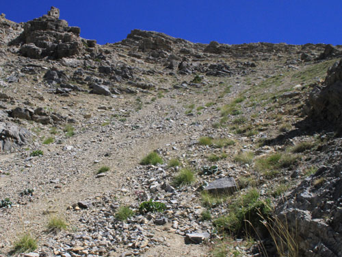 Photo: scipio