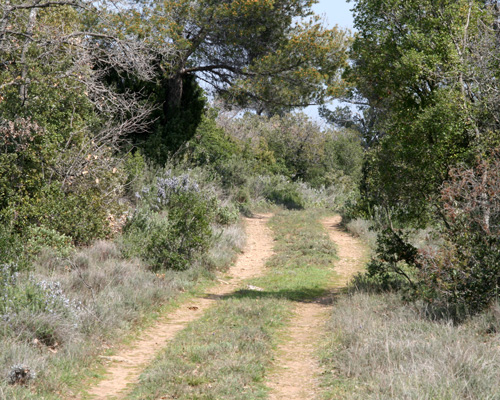 Photo: tagis28.jpg