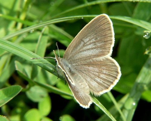 Photo: telejus15.jpg