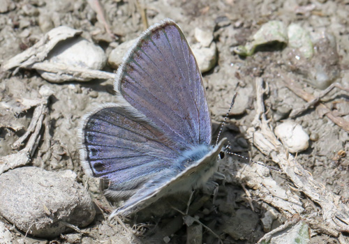 Photo: trappi82.jpg