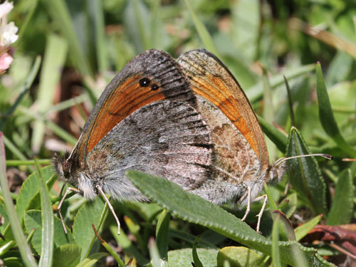 Photo: tyndarus